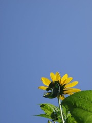 P6303981