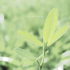P7174535