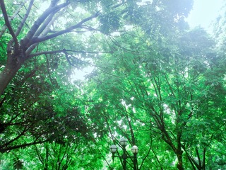 88FADCDB-C330-4130-B58F-56FBF40615D0/L0/001