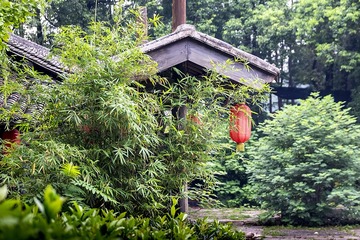 DSCF8436-2
