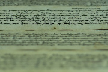 DSCF6843-2