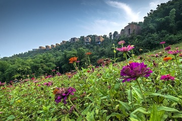 DSCF8644-2