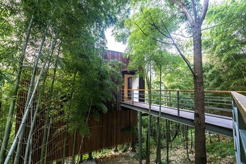 DSCF8772-2