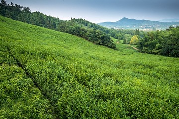 DSCF8638-2