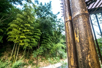 DSCF8810-2