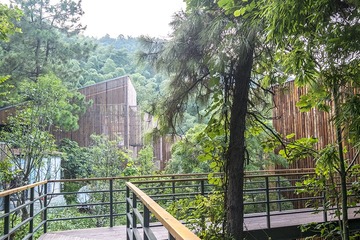 DSCF8767-2