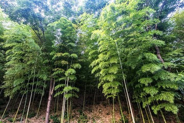 DSCF8813-2