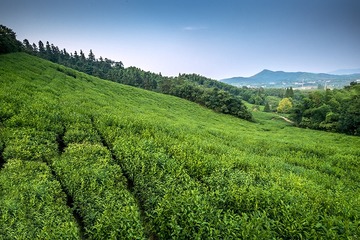 DSCF8639-2