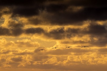 DSCF4312-2