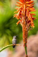 DSCF4646-2