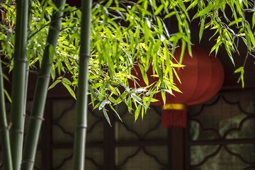 DSCF9976-2