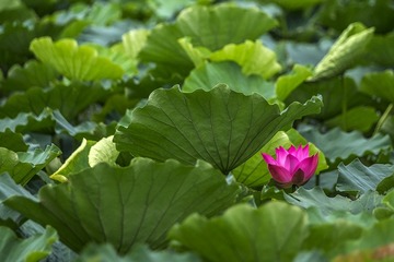 DSCF9820-2
