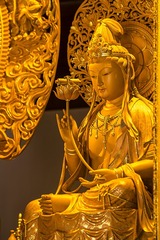 DSCF9799-2