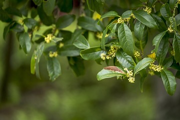 DSCF0013-2