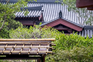 DSCF9529-2