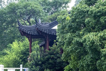 DSCF7765-2