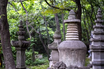 DSCF8405-2