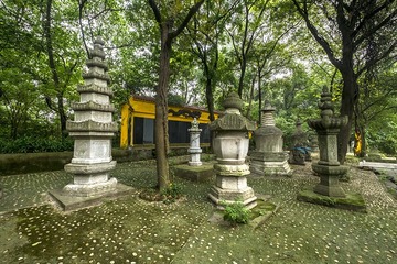 DSCF9360-2