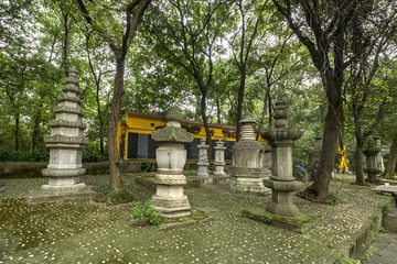 DSCF9371-2