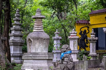 DSCF8413-2