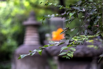 DSCF8398-2
