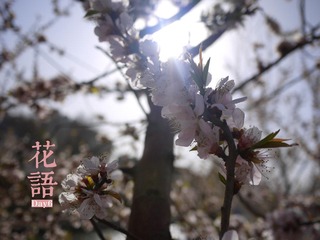 _1010942.JPG