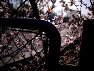 _1010977.JPG