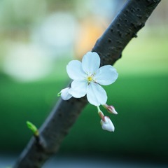 60B7154E-6F77-43F8-B91A-B0EC5E9EE15F/L0/001