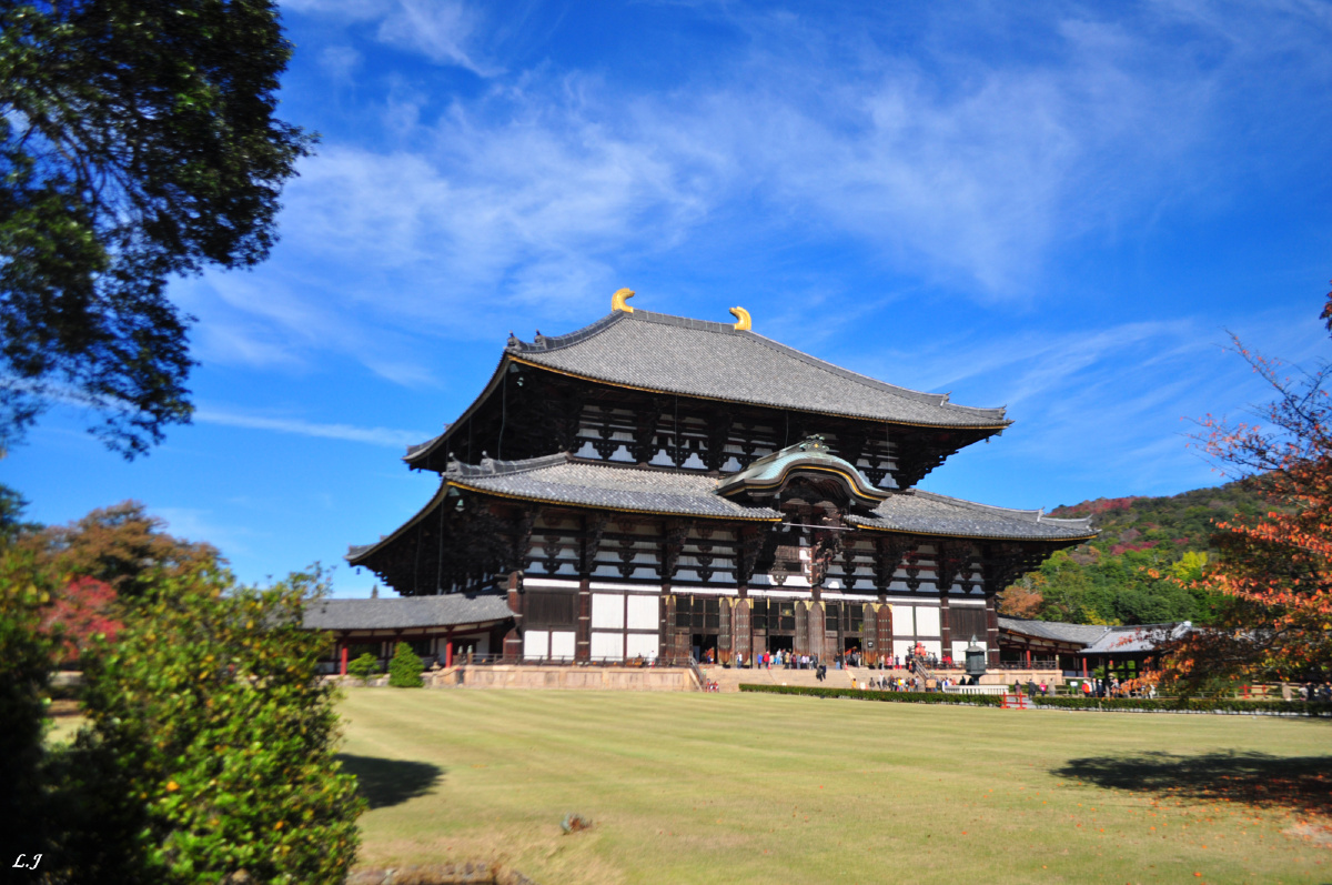 东大寺 - 鸦karas