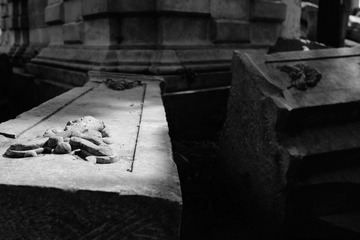 L1001079-2.jpg