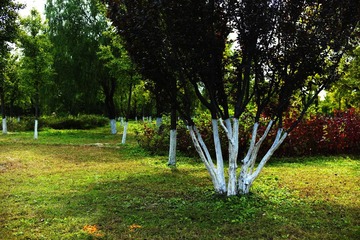 L1001247.jpg