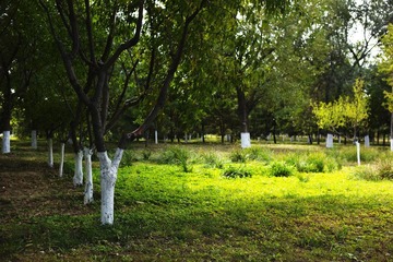 L1001249.jpg