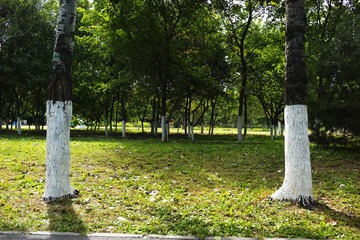 L1001262.jpg