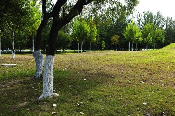 L1001270.jpg
