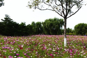 L1001294.jpg