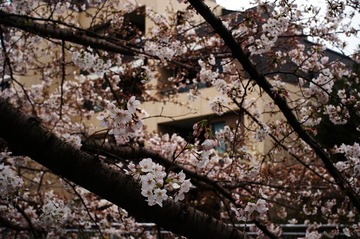 EPSN0035