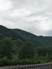 1000003786
