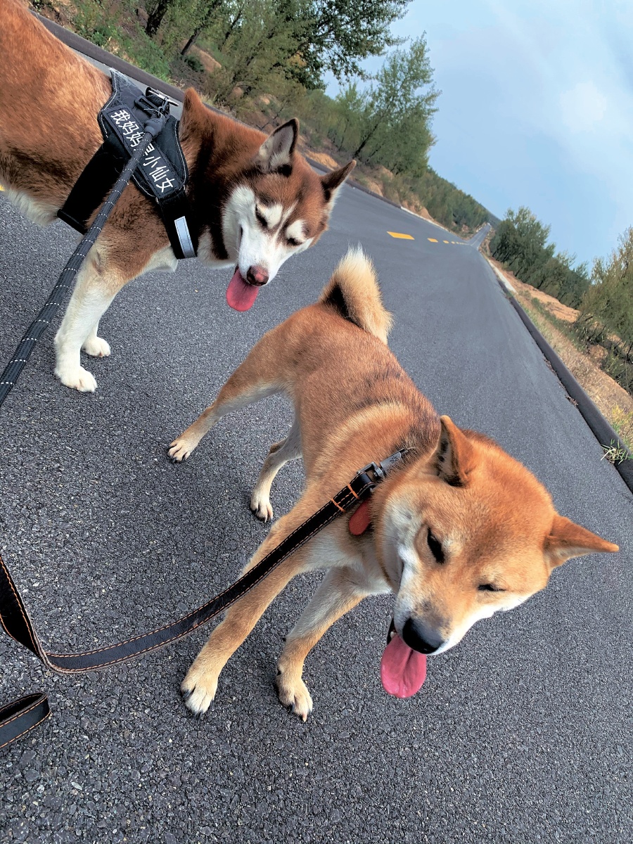 生命中的美好 - 张轩808 - 图虫