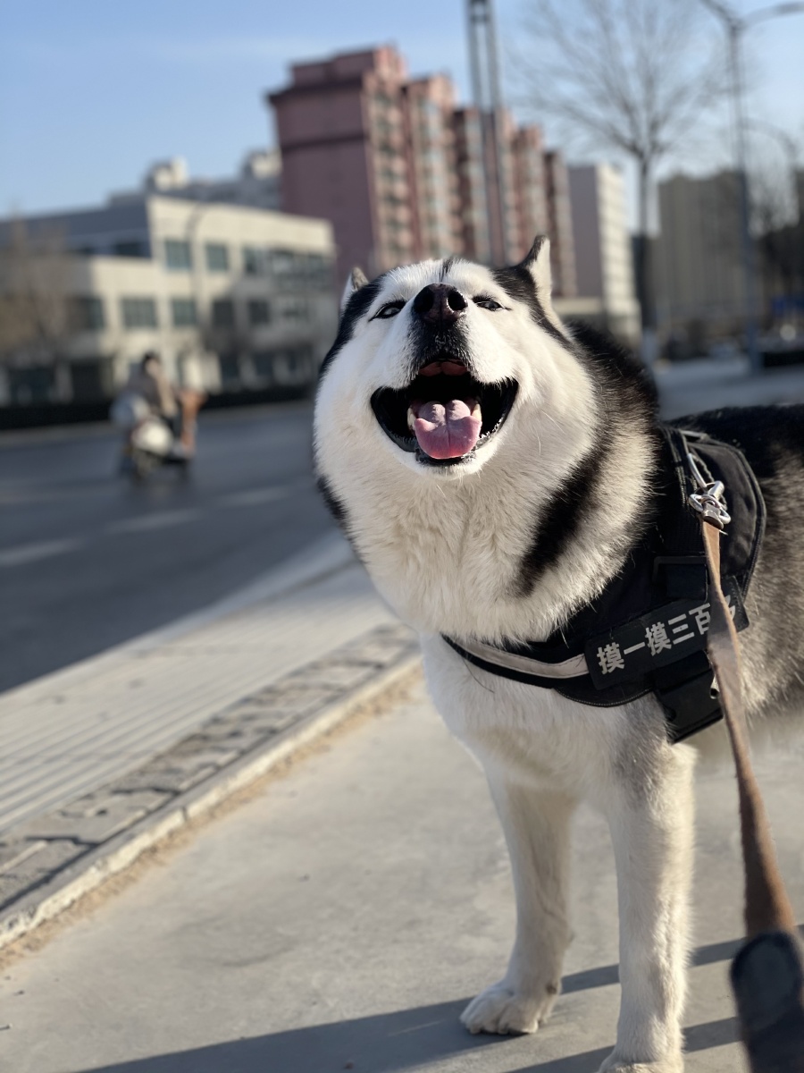 生命中的美好 - 张轩808 - 图虫