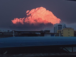 1086317