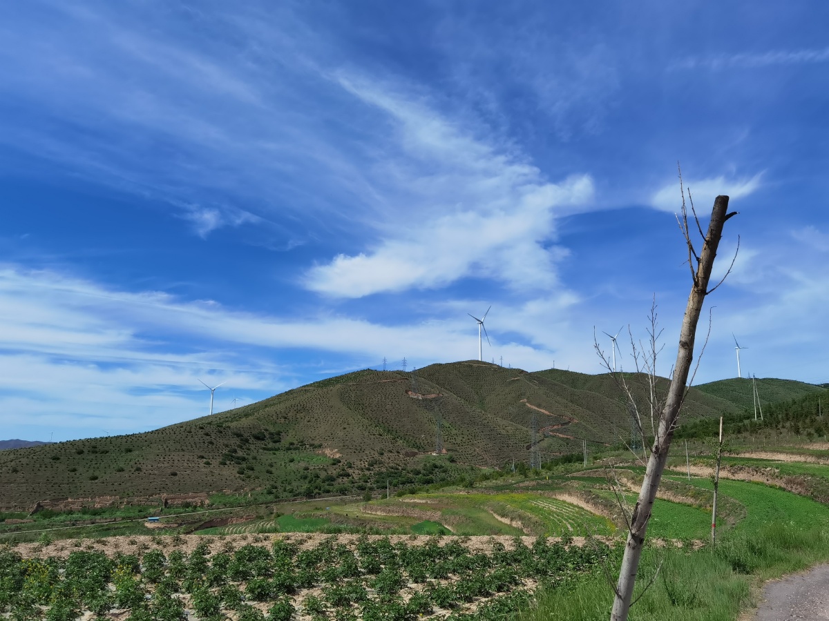 宁夏固原市西吉县月亮山