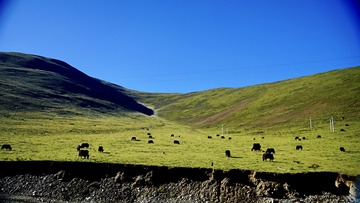0AAB1B4F-793F-4B6A-A507-36CD6244C068/L0/001