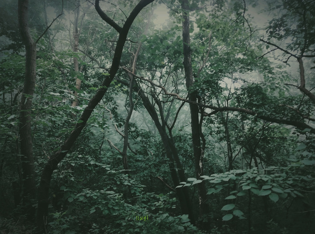 不被理解的时候我一句话也不想说就像这风景压抑而又沉寂