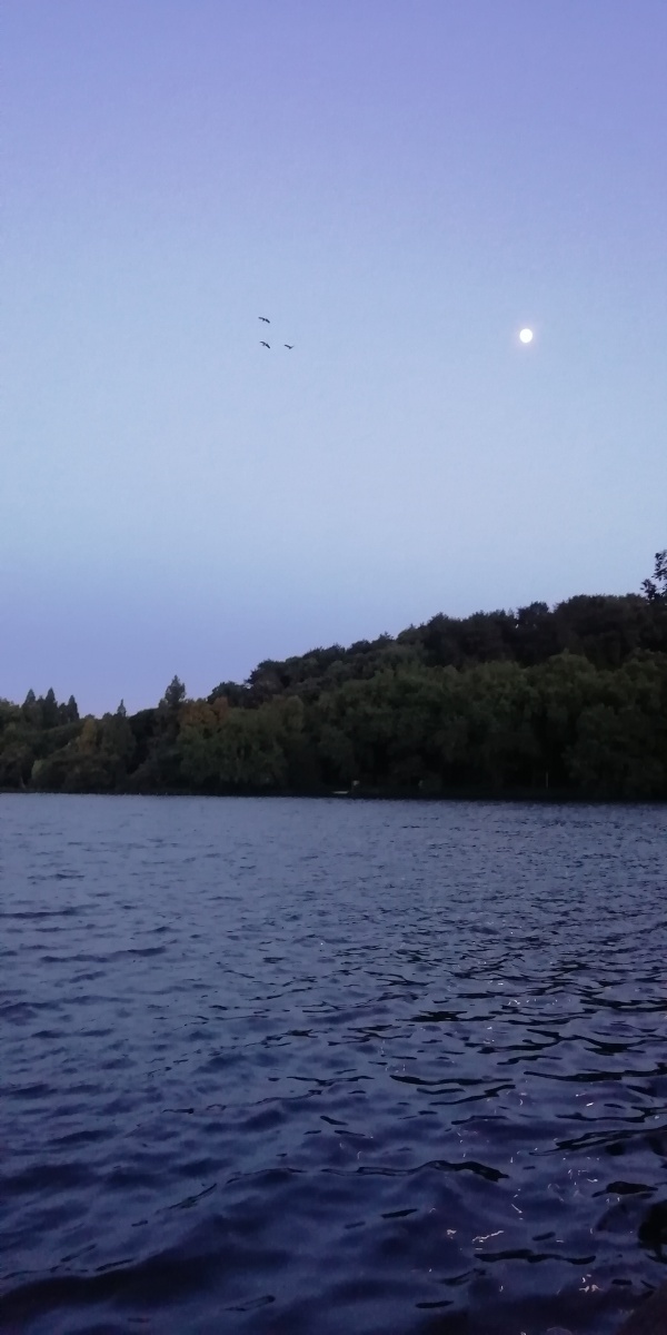 夏日西子湖畔蓝色月夜神秘而美丽