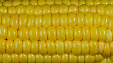 1185635