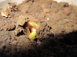 IMG_1165.JPG