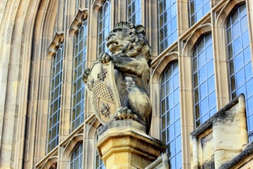 IMG_1995_1-1 - Copy.JPG