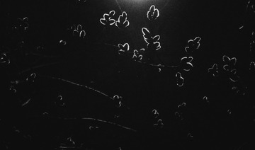 BD214674-B508-4F22-8522-1786BE2D56F7/L0/001