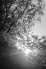 DA5C3B76-C3A0-443E-8938-A1649539C5EE/L0/001