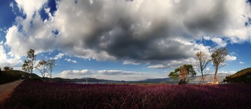 全景图5.jpg